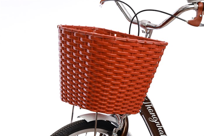 Xe Đạp Đường Phố City Thống Nhất New 24 24 inch Màu Nâu