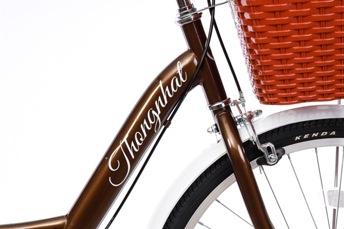 Xe Đạp Đường Phố City Thống Nhất New 24 24 inch Màu Nâu