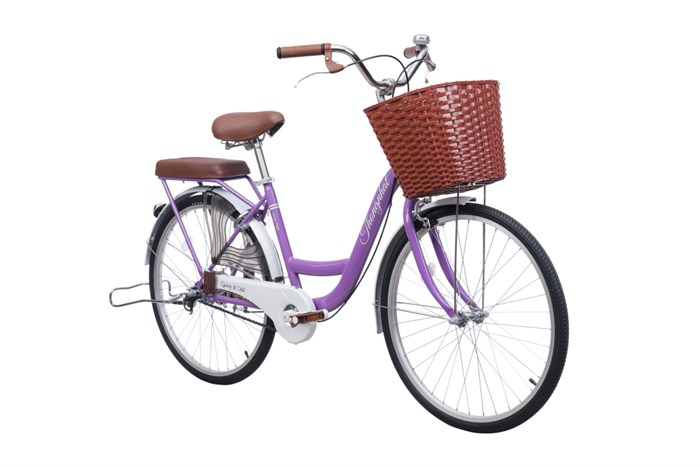 Xe Đạp Đường Phố City Thống Nhất New 24 24 inch Màu Tím