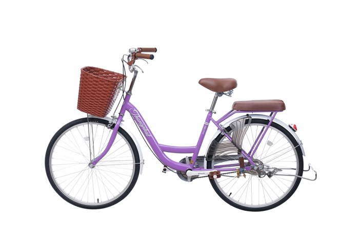 Xe Đạp Đường Phố City Thống Nhất New 24 24 inch Màu Tím
