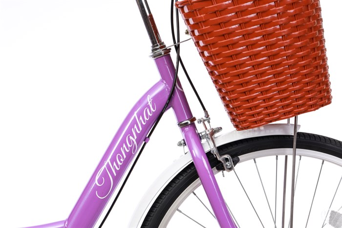 Xe Đạp Đường Phố City Thống Nhất New 24 24 inch Màu Tím