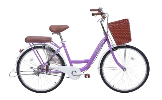 Xe Đạp Đường Phố City Thống Nhất New 24 24 inch