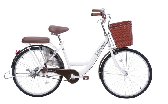 Xe Đạp Đường Phố City Thống Nhất New 24 24 inch