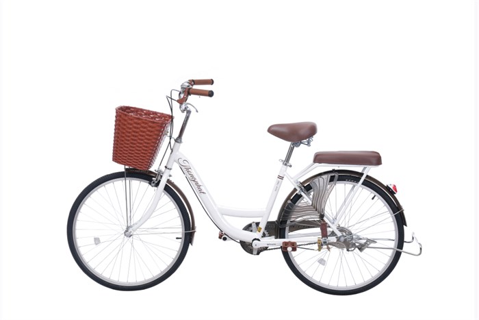 Xe Đạp Đường Phố City Thống Nhất New 24 24 inch Màu Trắng