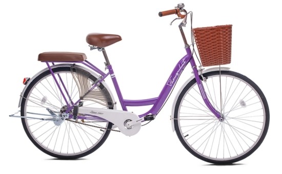 Xe đạp đường phố City Thống Nhất New 26 26 inch - chính hãng, giá ...
