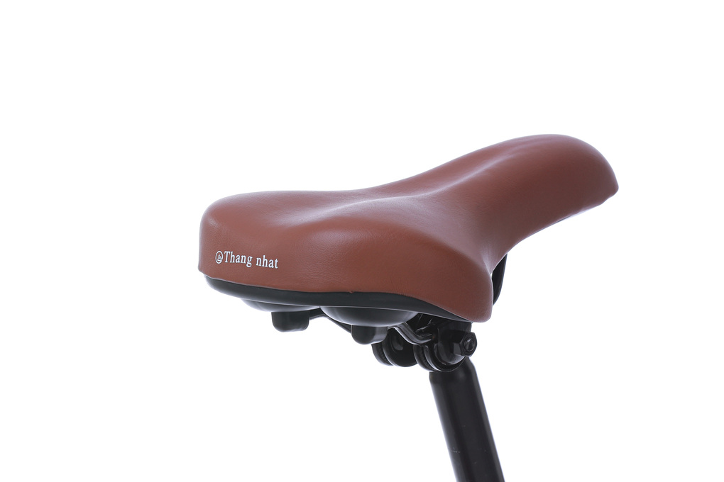 Xe Đạp Đường Phố City Thống Nhất LD 24-01 24 inch