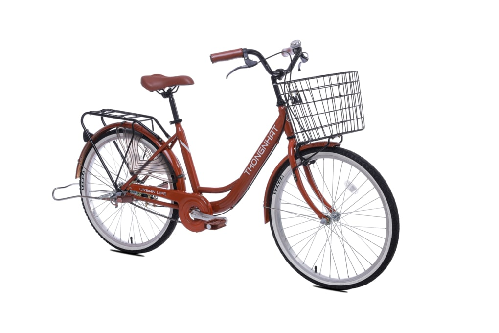 Xe Đạp Đường Phố City Thống Nhất LD 24-01 24 inch