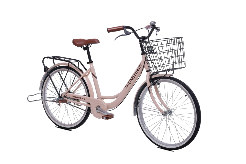 Xe Đạp Đường Phố City Thống Nhất LD 24-01 24 inch - 2