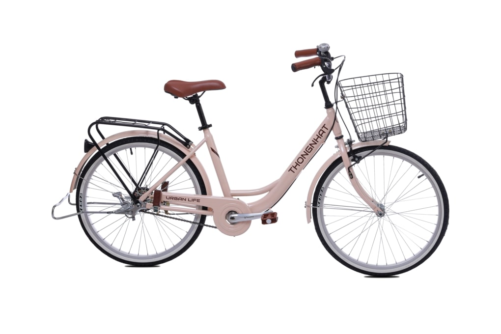 Xe Đạp Đường Phố City Thống Nhất LD 24-01 24 inch - 4