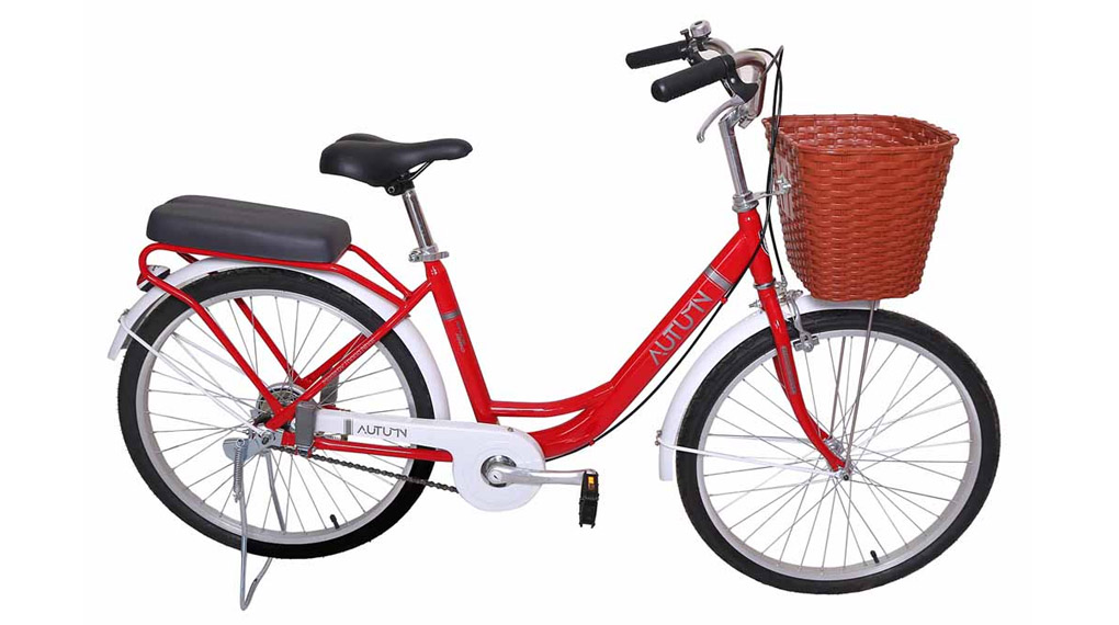Xe đạp đường phố City Thống Nhất LD 24-01 24 inch - chính hãng ...