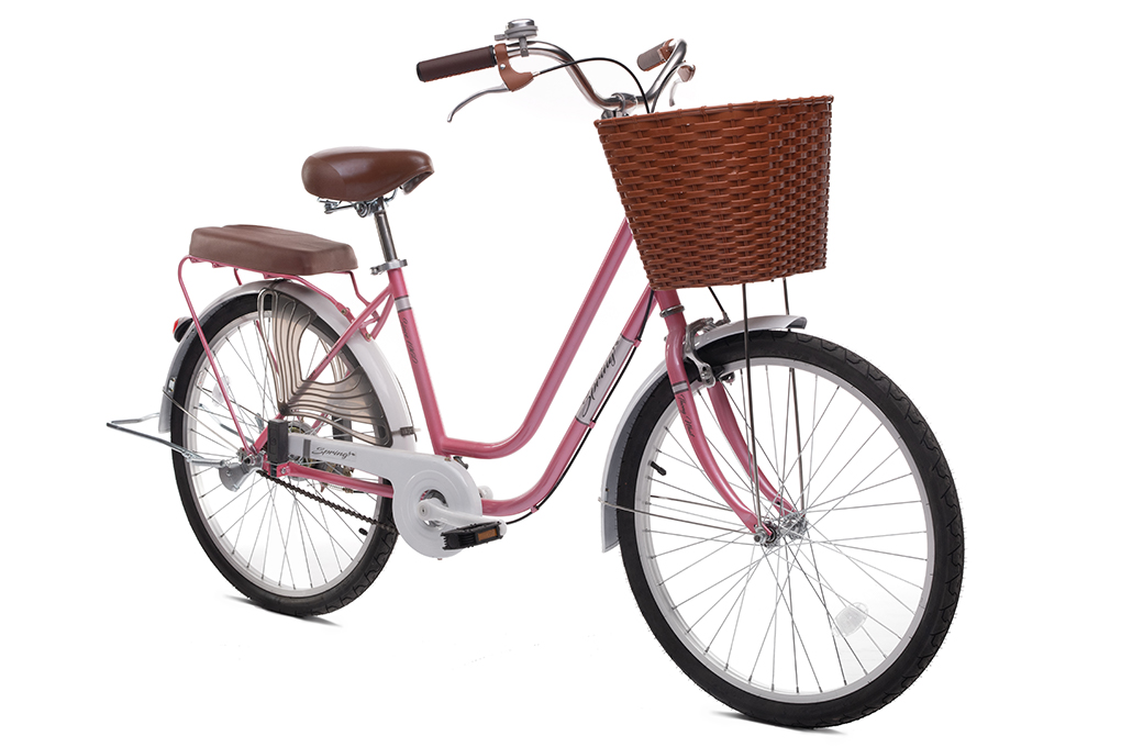 Xe Đạp Đường Phố City Thống Nhất LD 24-02 24 inch Màu Hồng