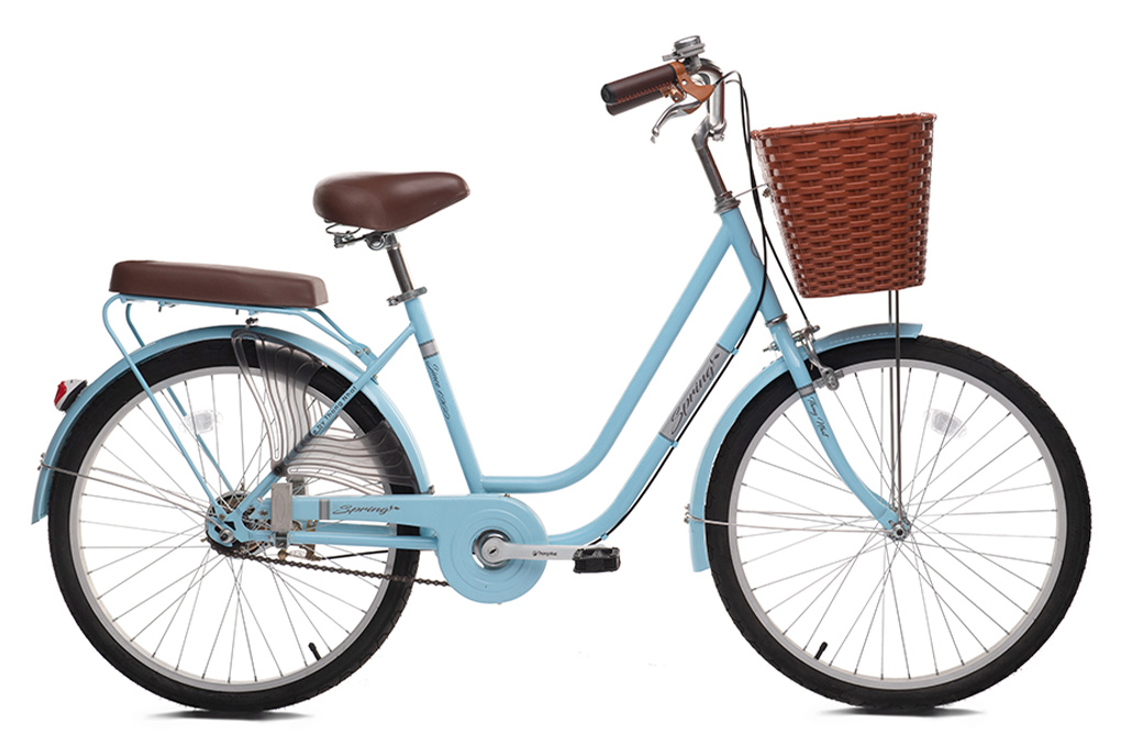 Xe Đạp Đường Phố City Thống Nhất LD 24-02 24 inch Màu Xanh