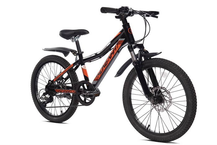 Xe Đạp Trẻ Em Thống Nhất MTB 20-04 20 inch Màu Cam