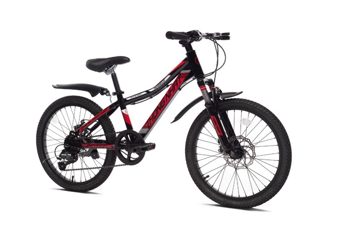 Xe Đạp Trẻ Em Thống Nhất MTB 20-04 20 inch Màu Đỏ