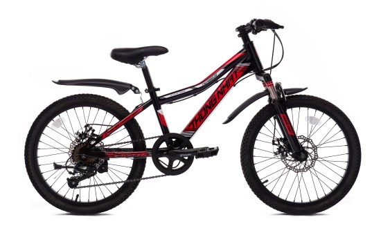 Xe Đạp Trẻ Em Thống Nhất MTB 20-04 20 inch