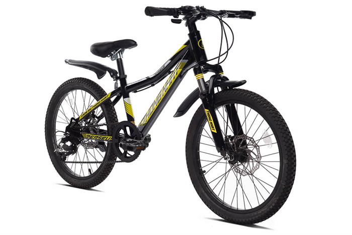 Xe Đạp Trẻ Em Thống Nhất MTB 20-04 20 inch Màu Vàng