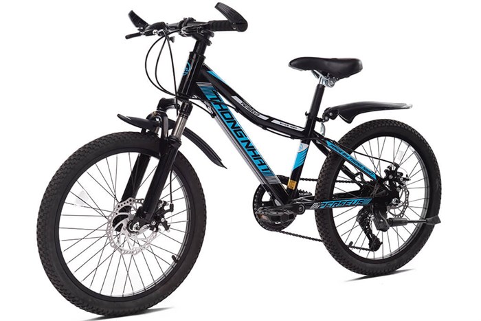 Xe Đạp Trẻ Em Thống Nhất MTB 20-04 20 inch Màu Xanh Dương