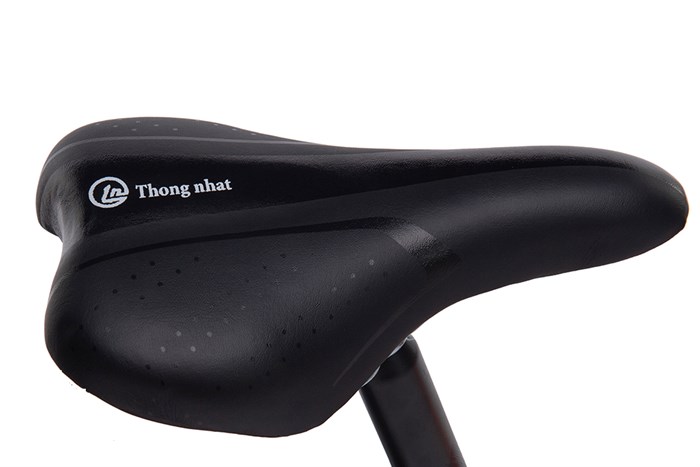 Xe Đạp Trẻ Em Thống Nhất MTB 20-05 20 inch Màu Đen