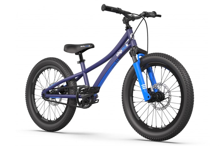 Xe Đạp Trẻ Em Chipmunk Explore CM20-3 20 inch Màu Xanh Dương