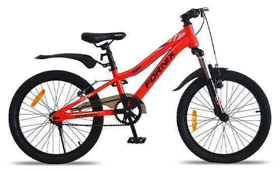 Xe đạp trẻ em Fornix R20 20 inch - Xe đạp