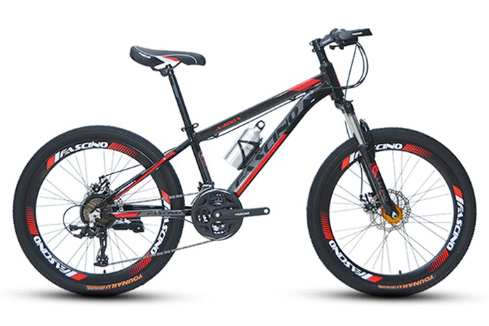 Xe Đạp Địa Hình MTB Fascino A400X 24 inch