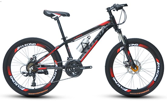 Fascino A400X 24 inch