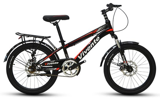 Xe đạp địa hình MTB Vivente 20Q2 20 inch