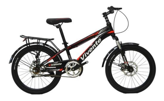 Xe Đạp Trẻ Em Vivente 20Q2 20 inch