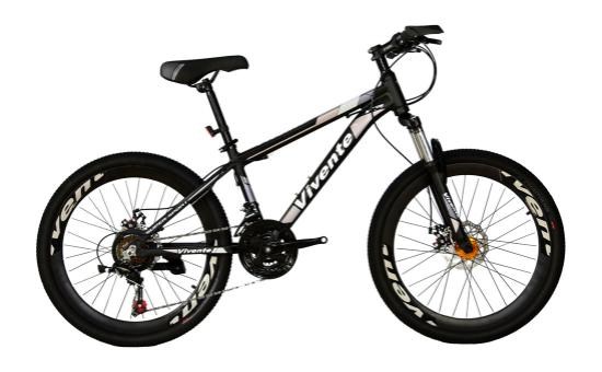 Xe đạp địa hình MTB Vivente 24F2 24 inch