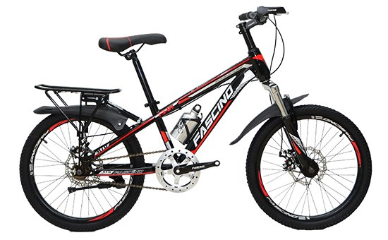 Xe Đạp Trẻ Em Fascino FS-01 20 inch