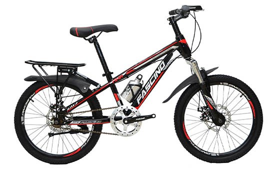 Xe Đạp Trẻ Em Fascino FS-01 20 inch
