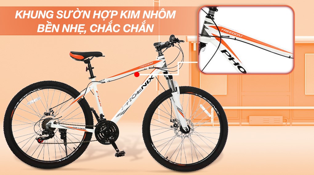 Xe Đạp Địa Hình MTB Phoenix Vigilon 3.0 26 inch