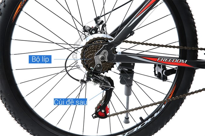 Xe Đạp Địa Hình MTB Phoenix Vigilon 3.0 26 inch