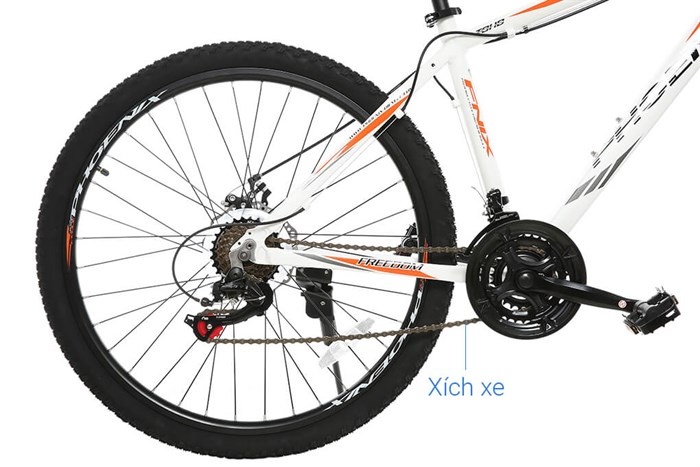 Xe Đạp Địa Hình MTB Phoenix Vigilon 3.0 26 inch