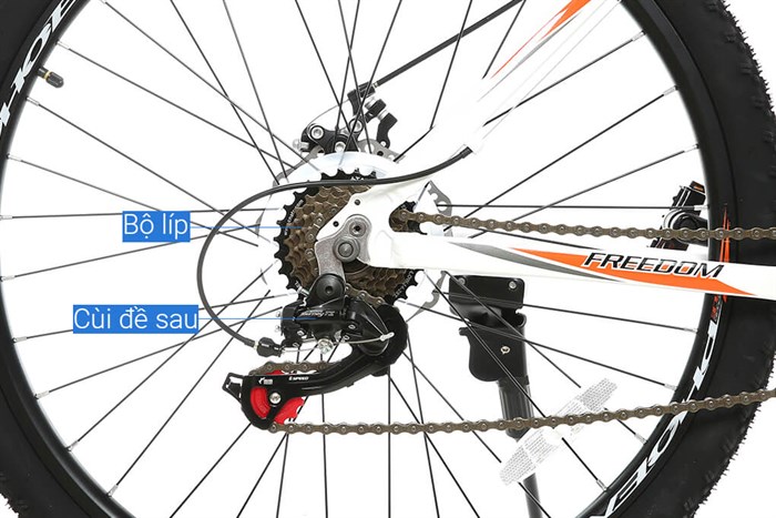 Xe Đạp Địa Hình MTB Phoenix Vigilon 3.0 26 inch