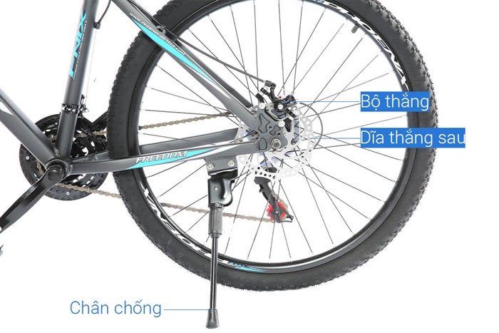 Xe Đạp Địa Hình MTB Phoenix Vigilon 3.0 26 inch