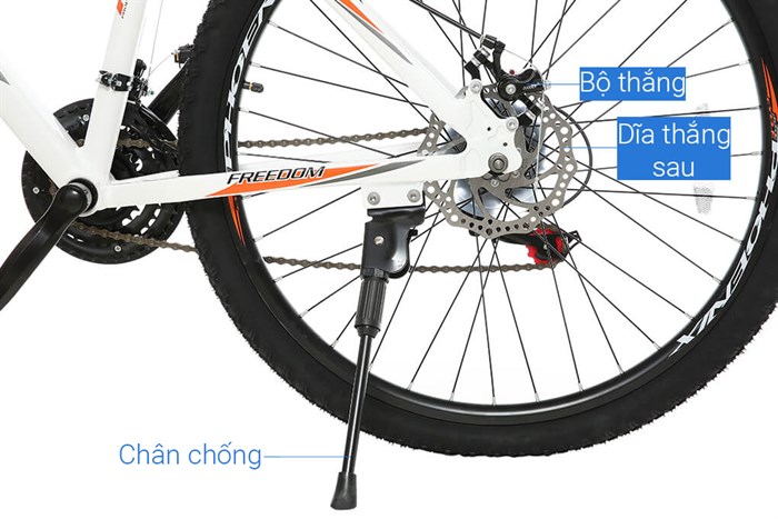 Xe Đạp Địa Hình MTB Phoenix Vigilon 3.0 26 inch