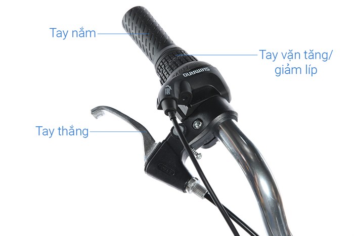 Xe Đạp Đường Phố Cổ Điển City Phoenix Yumo 26 inch Màu Xanh lá đậm