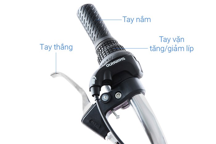 Xe Đạp Đường Phố Cổ Điển City Phoenix Yumo 26 inch Màu Hồng