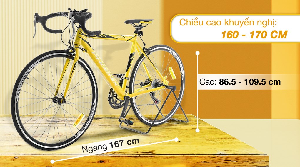 Xe Đạp Thể Thao Road Phoenix 700C Bike 29 inch
