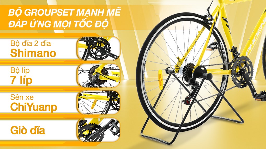 Xe Đạp Thể Thao Road Phoenix 700C Bike 29 inch