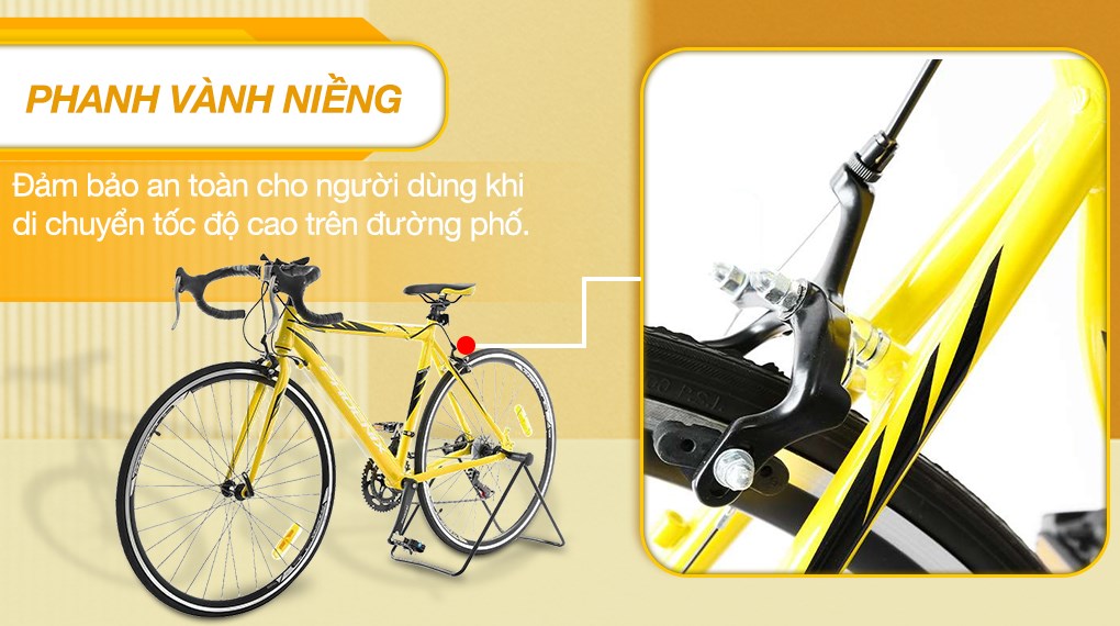 Xe Đạp Thể Thao Road Phoenix 700C Bike 29 inch