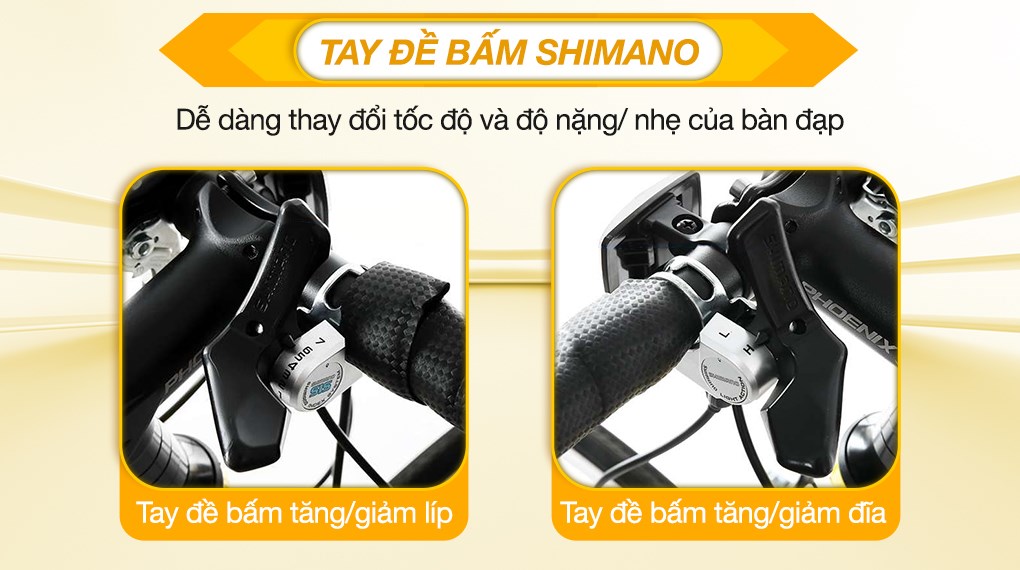 Xe Đạp Thể Thao Road Phoenix 700C Bike 29 inch