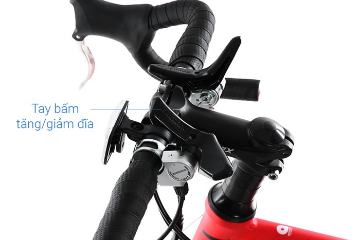 Xe Đạp Thể Thao Road Phoenix 700C Bike 29 inch Màu Đỏ