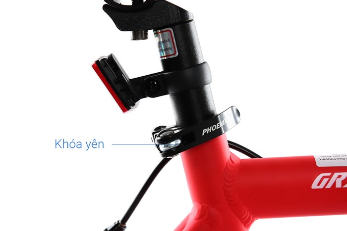 Xe Đạp Thể Thao Road Phoenix 700C Bike 29 inch Màu Đỏ