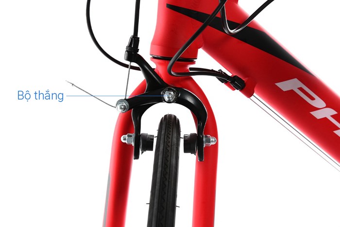 Xe Đạp Thể Thao Road Phoenix 700C Bike 29 inch Màu Đỏ