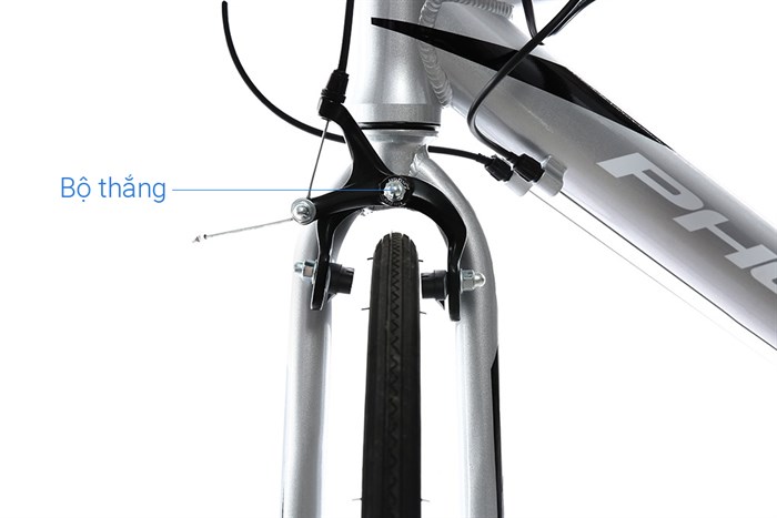 Xe Đạp Thể Thao Road Phoenix 700C Bike 29 inch Màu Xám