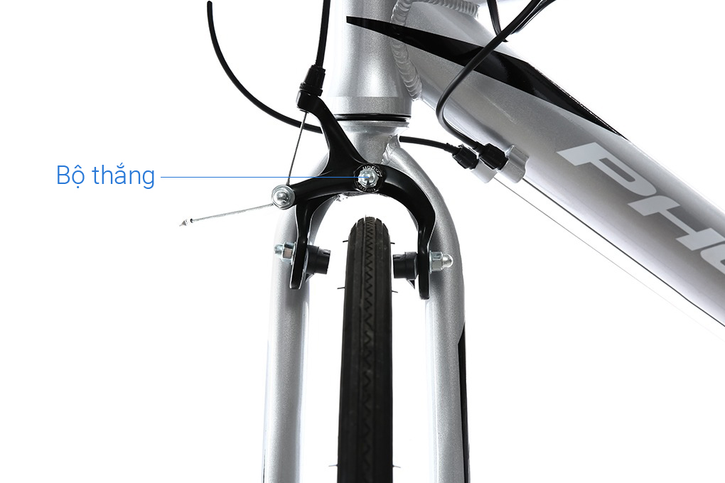 Xe Đạp Thể Thao Road Phoenix 700C Bike 29 inch Màu Xám