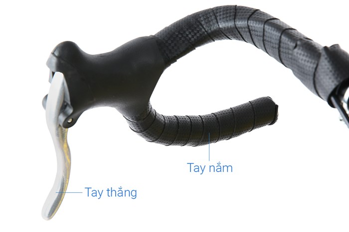 Xe Đạp Thể Thao Road Phoenix 700C Bike 29 inch Màu Vàng