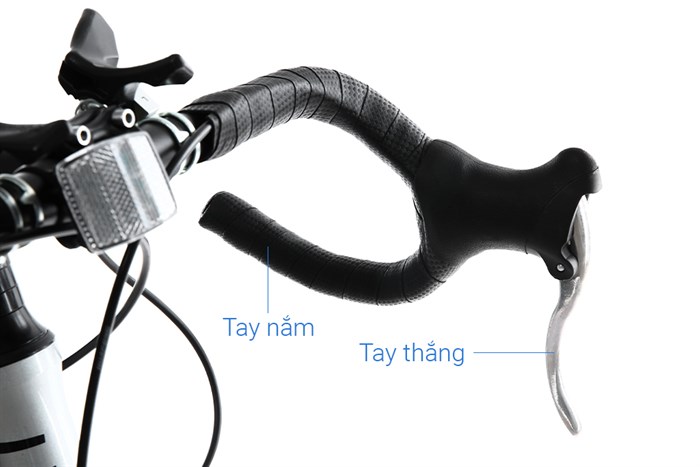 Xe Đạp Thể Thao Road Phoenix 700C Bike 29 inch Màu Xám